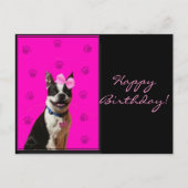 Happy Birthday Boston Terrier Briefkaart (Voorkant)