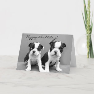 Happy Birthday Boston Terrier wenskaart Kaart