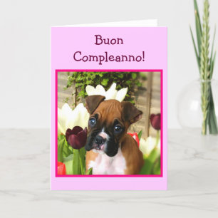 Happy Birthday boxer dog greeting card Kaart