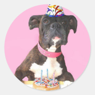 Happy Birthday Boxer hondenstickers Ronde Sticker