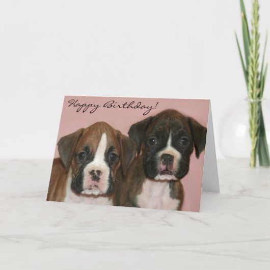 Happy Birthday Boxer Puppies wenskaart Kaart (Voorkant)