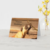 Happy Birthday Boxer puppy wenskaart Kaart (Gele Bloem)