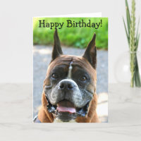 Happy Birthday Boxer wenskaart