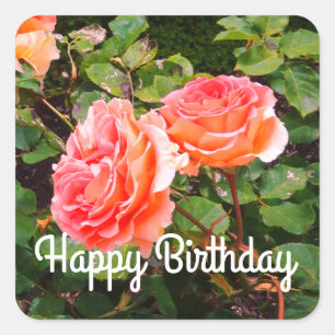 Happy Birthday Brass Band Roos #1-2 Stickers