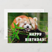 Happy Birthday Briefkaart (Voorkant / Achterkant)