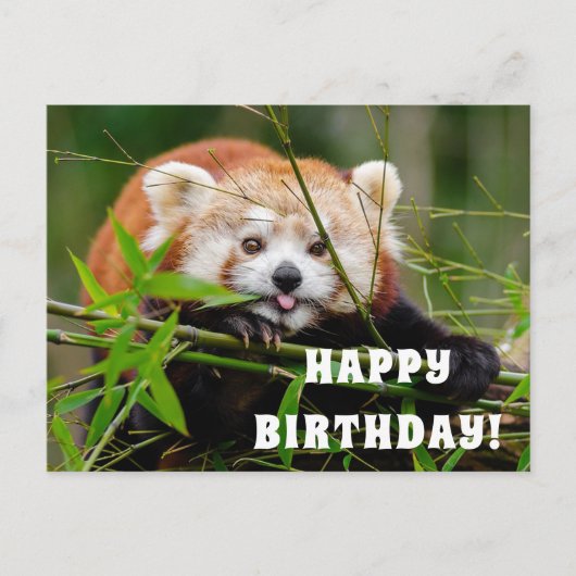 Happy Birthday Briefkaart (Voorkant)