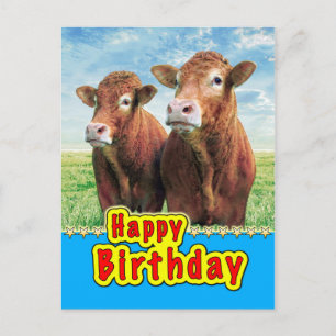 Happy Birthday Briefkaart