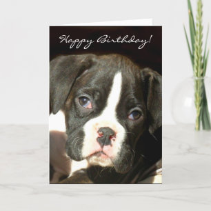 Happy Birthday Brindle boxer puppy wenskaart Kaart