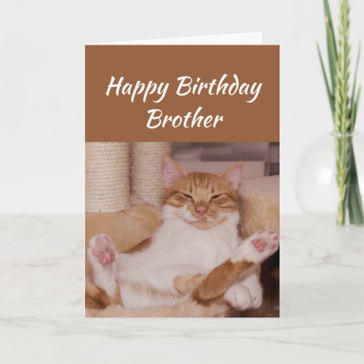 Happy Birthday Brother Celebrate Funny Cat Kaart (Voorkant)