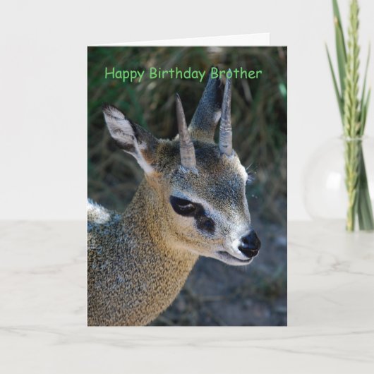 Happy Birthday Brother Kaart (Voorkant)