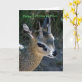 Happy Birthday Brother Kaart (Gele Bloem)