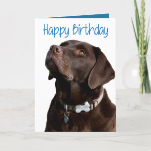 Happy Birthday Brown Labrador Retriever Puppy Card Kaart