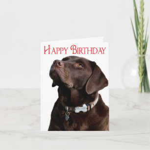 Happy Birthday Brown Labrador Retriever Puppy Card Kaart