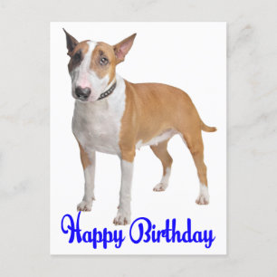 Happy Birthday Bull Terrier Puppy Dog Briefkaart