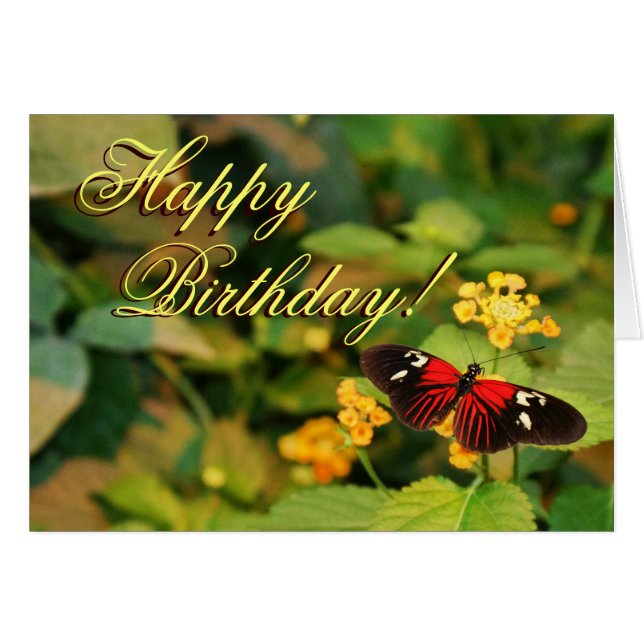 Happy Birthday Butterfly Kaart (Voorkant Horizontaal)