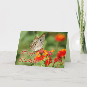 Happy Birthday Butterfly Kaart