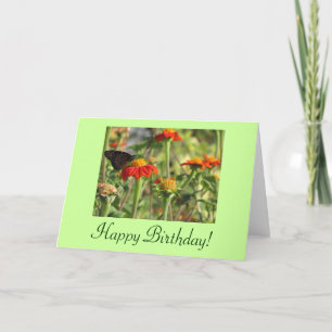 Happy Birthday Butterfly Kaart