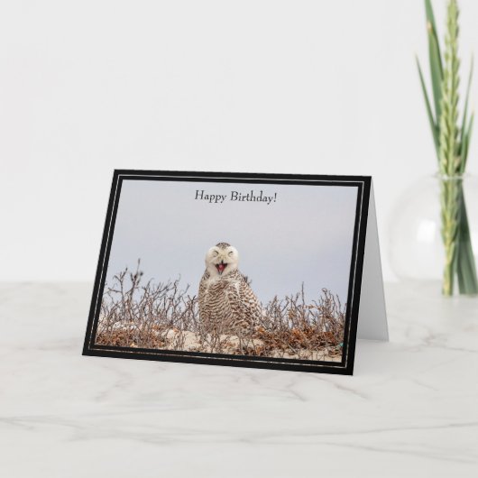 Happy Birthday Card Snowy Owl Kaart (Voorkant)