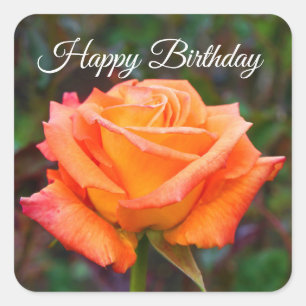 Happy Birthday Caribbean Roos #2 Sticker
