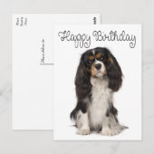 Happy Birthday Cavalier King Charles Spaniel Briefkaart (Voorkant / Achterkant)