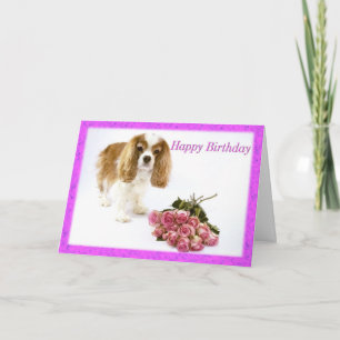 Happy Birthday Cavalier King Charles Spaniel Kaart