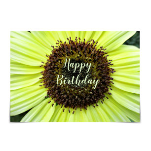 "Happy Birthday" Cheerful Sunflower Kaart