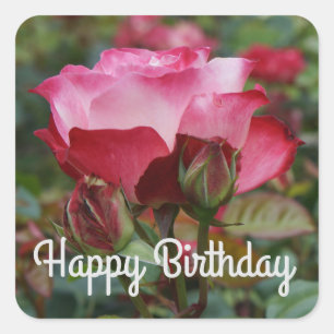 Happy Birthday Cherry Parfait Roos #1-2 Stickers