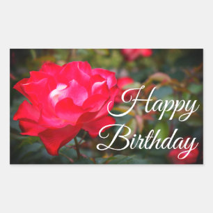 Happy Birthday Cherry Parfait Roos #2 Stickers