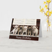 Happy Birthday Chihuahua Puppy Dog ( Chewawa ) Kaart (Gele Bloem)