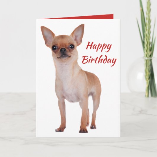 Happy Birthday Chihuahua Puppy Dog Puppies Dogs Kaart (Voorkant)
