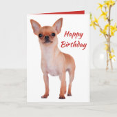 Happy Birthday Chihuahua Puppy Dog Puppies Dogs Kaart (Gele Bloem)