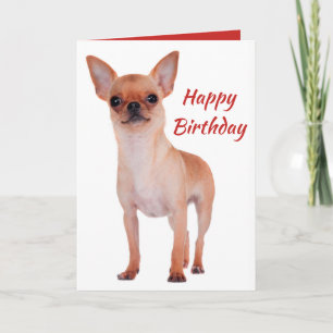 Happy Birthday Chihuahua Puppy Dog Puppies Dogs Kaart