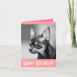 Happy Birthday Chihuahua Puppy Dog Wenskaart Kaart