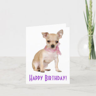 Happy Birthday Chihuahua Puppy Dog Wenskaart Kaart