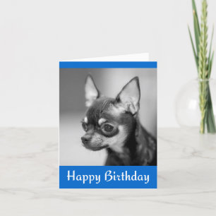 Happy Birthday Chihuahua Puppy Dog Wenskaart Kaart