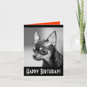 Happy Birthday Chihuahua Puppy Dog Wenskaart Kaart