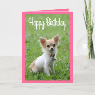 Happy Birthday Chihuahua Puppy Pink Wenskaart Kaart