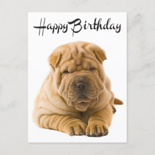 Happy Birthday Chinese Shar Pei Puppy Dog Card Briefkaart