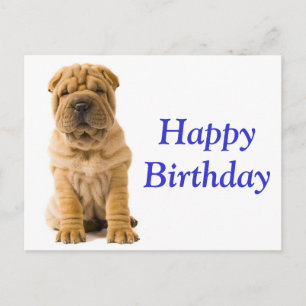 Happy Birthday Chinese Shar Pei Puppy Dog Card Briefkaart
