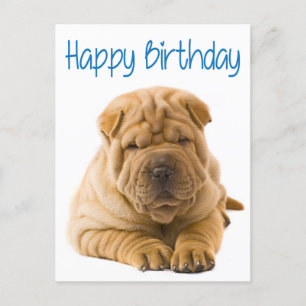 Happy Birthday Chinese Shar Pei Puppy Dog Kaart