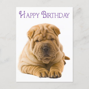 Happy Birthday Chinese Shar Pei Puppy Dog Kaart