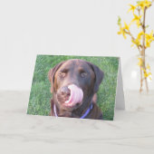 Happy Birthday Chocolate Lab Schattige & Grappig K Kaart (Gele Bloem)