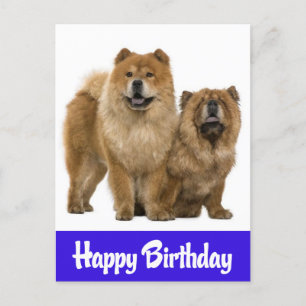 Happy Birthday Chow Chow Puppy Dog Briefkaart