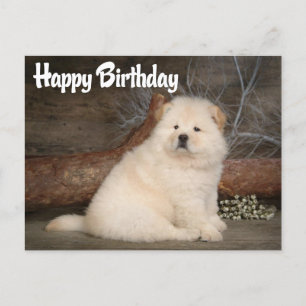 Happy Birthday Chow Chow Puppy Dog Briefkaart