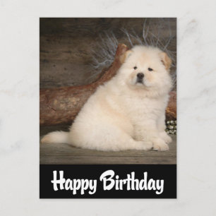 Happy Birthday Chow Chow Puppy Dog Zwart Briefkaar Briefkaart