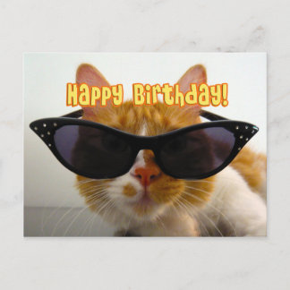 Happy Birthday - Cool Cat in zonnebril Briefkaart