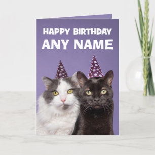 Happy Birthday Custom Name Funny Cats in Pet Feestdagen Kaart