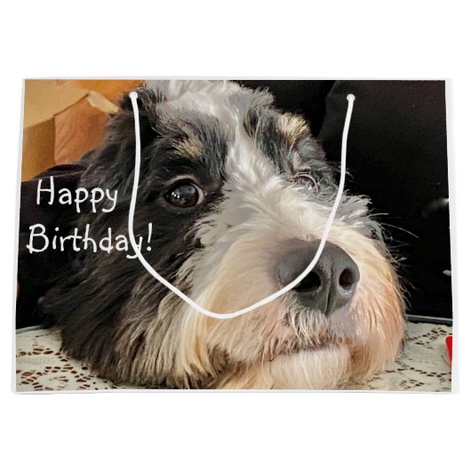 Happy Birthday Cute Bernedoodle Groot Cadeauzakje (Voorkant)