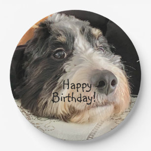 Happy Birthday Cute Bernedoodle Papieren Bordje
