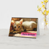 Happy Birthday Cute Little Kitten Kaart (Gele Bloem)